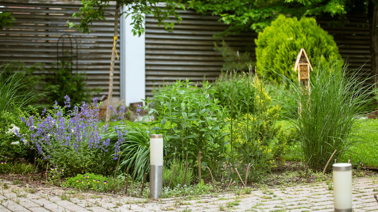 A suburban garden bed of catmint and ornamental grasses along a fence, the kind of deer resistant planting that holds up in Cincinnati yards