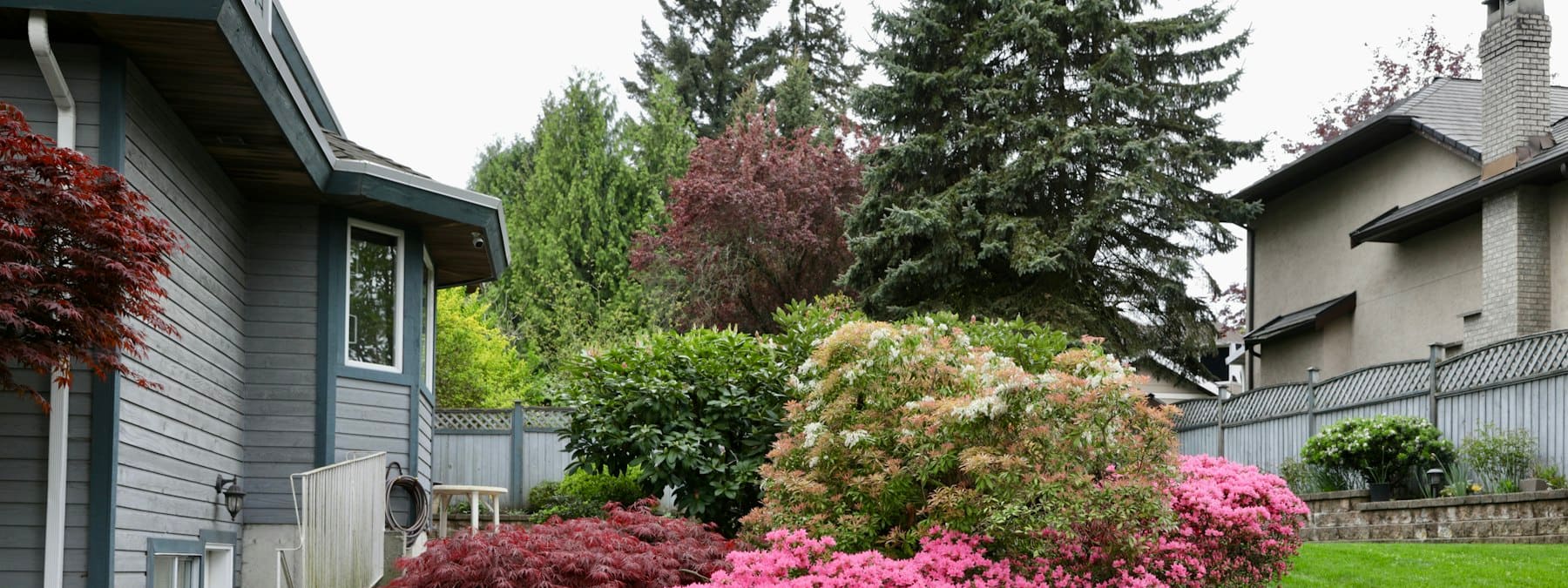 A landscaped yard bordering a wooded tree line in greater Cincinnati
