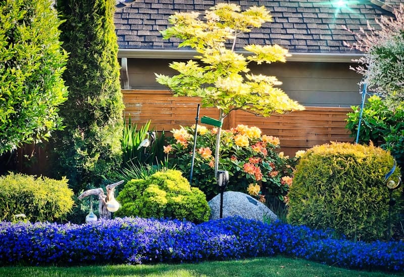 Residential deer repellent service for home landscaping