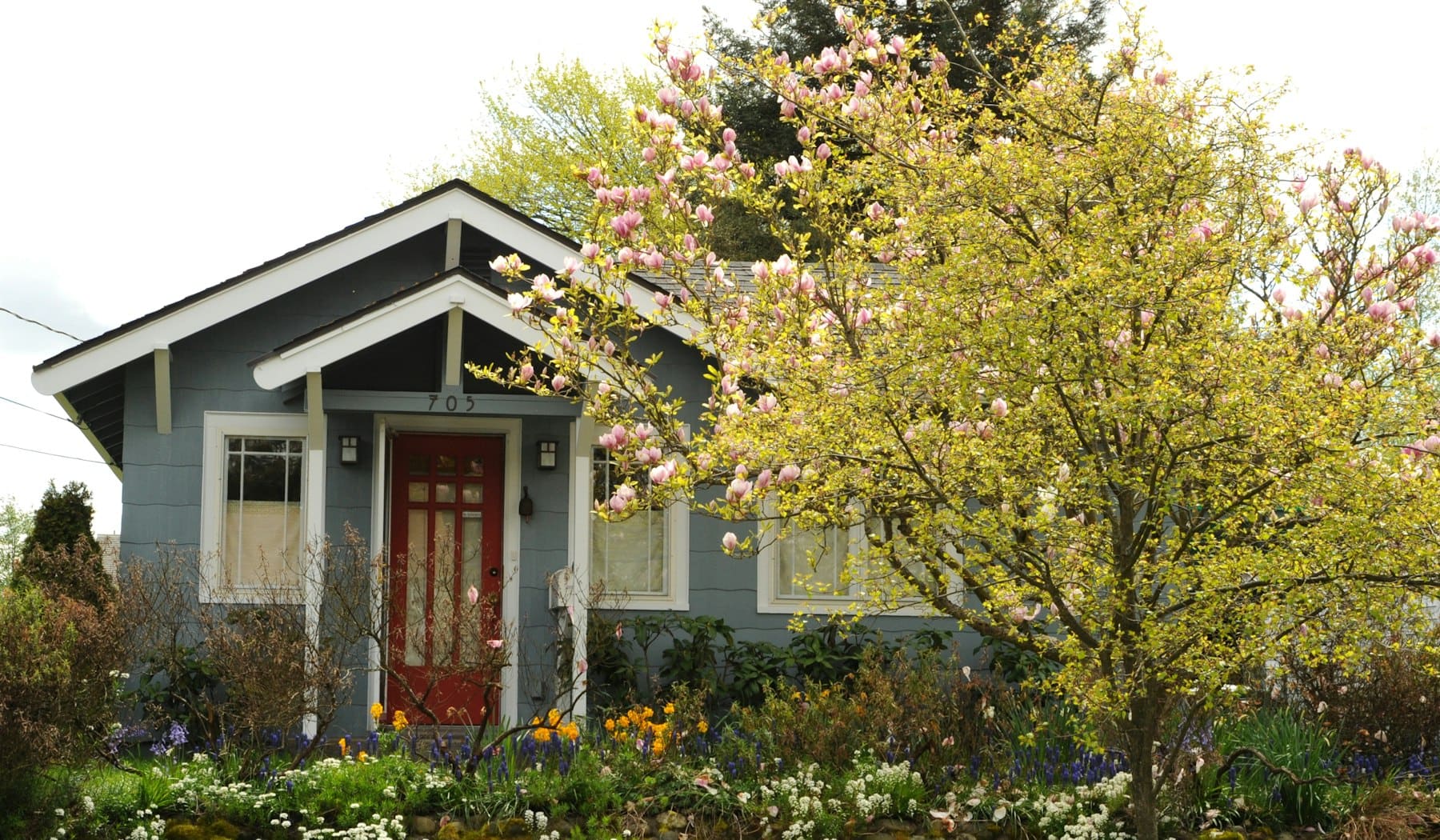 Landscaped beds and shrubs at a home Stag Stop protects from deer browsing