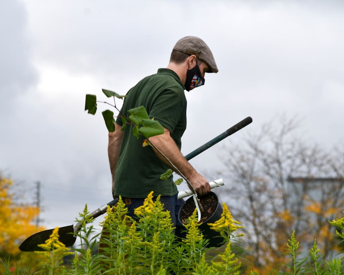 Applying an egg based repellent to ornamental shrubs